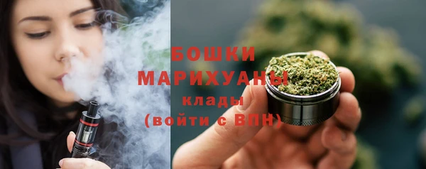 шишки Богородицк